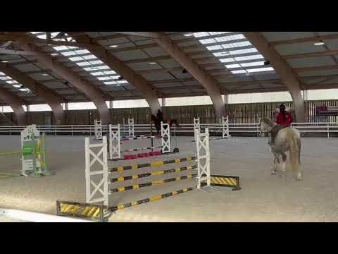 Cheval à vendre - Super cheval de 7 ans - Vidéo 2 - equirodi.com