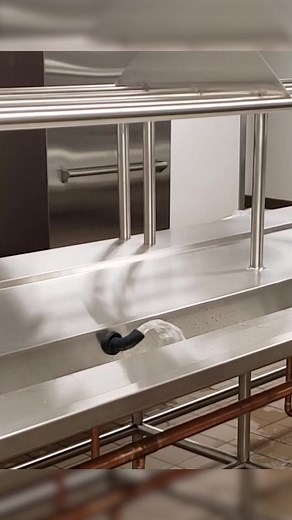 🌊 Is your Salvajor Trough System performing at its best? Learn how to fine-tune water flow and keep your dishroom running at peak efficiency. Designed for multiple operators, Salvajor Trough Systems can recirculate up to 70 gallons of water per minute, making high-volume scrapping fast, efficient, and sustainable. 🔹 TroughVeyor® (Model TVL or TVR) – Increases scrapping efficiency with powerful water recirculation. Available with 3 or 5 HP disposers (3-phase only). 🔹 Trough Collector™ (Model S