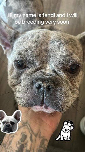 The Real Deal (@jayb0675)’s videos with The Lazy Song - Funny Bunny Team