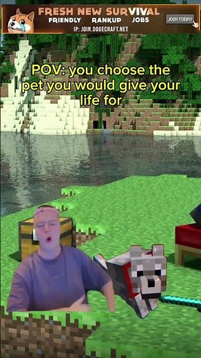 Best Survival Minecraft SMP Server in 2025