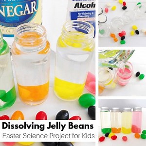 Dissolving Jelly Beans Experiment