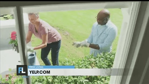 How to use AI on Yelp to find the best services