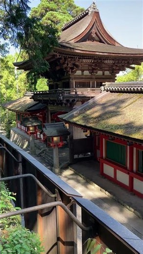 Isonokami Shrine: One of Japan's Oldest Shrines in Nara⛩️#japan #japantravel #shrine #石上神宮