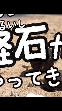 新しい軽石がやってきた！沖縄、2024春 #軽石 #硫黄島
