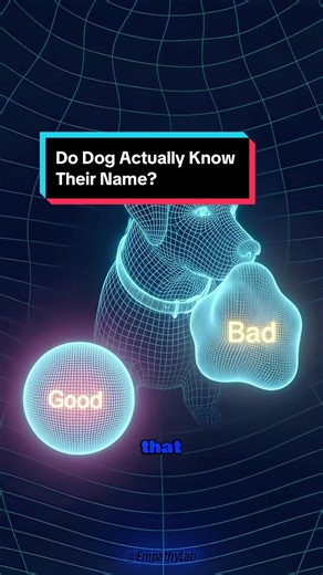 Do Dogs Actually Know Their Name? 🤔 | Psychology #dogfacts #dogpsychology #dognames #psychologyfacts #empathylab