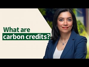 Unlocking the world of carbon credits with RVCMC's CEO, Riham ElGizy | Ep1