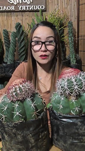 Erda Balajadia Ricohermoso on Reels