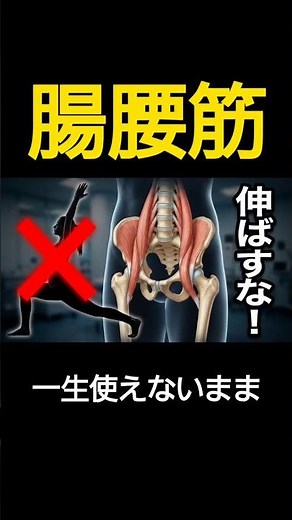 腸腰筋の図解で魅せる！「伸ばす」を卒業して「収縮」で股関節を覚醒させる新常識【股割り】