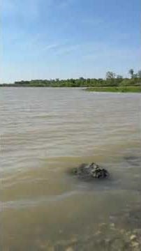Video of Lost Bridge West, IN from Geoffrey F.
