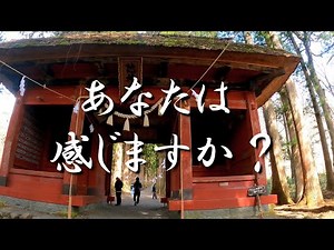 【戸隠神社奥社】※強力波動⚠️山岳系神様の波動を感じますか？｜遠隔参拝#10｜Togakushi Shrine Japan