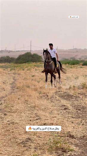 الثنائي المرعب 🔥💀#مصطفى_النامس🐎 #خيل_وخياله🐎 #نادي_الفروسيه_بغداد