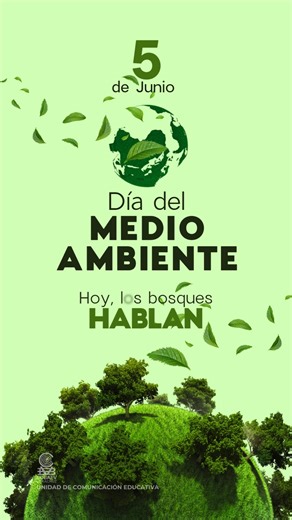 🌱🌍 5 de junio | Día Mundial del Medio Ambiente 🌍🌱 Este día nos recuerda que cuidar el planeta es responsabilidad de todos. La ONU lo designó para impulsar la conciencia y la acción en favor del medio ambiente, promoviendo decisiones responsables desde lo individual hasta lo colectivo. Es una oportunidad para educar, inspirar y actuar. ¡Motivemos a las nuevas generaciones a ser agentes de cambio por un futuro más verde! 🍃🌎 #DíaMundialDelMedioAmbiente #PorUnFuturoSostenible #EducaciónAmbient