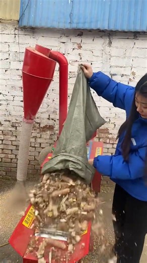 #铡草揉丝机 #铡草揉丝粉碎一体机 #cultivation