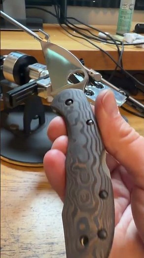 Shiny K390 Endela sporting Aramis scales and a fresh mirror edge to match