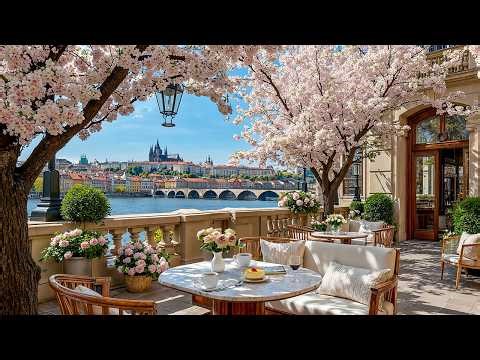 Cherry Blossom Spring Jazz in Prague ☕ Riverside Café Ambience & Smooth Jazz Music for Study & Relax