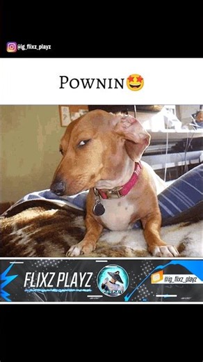 Pownin🤩 | Wait for ‪@FaithPlayzZzYT‬‪@Robyn07.‬ | #shorts#pubg#pubgm#pubgmobile#desiplayz