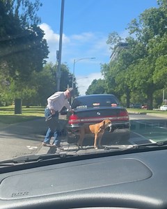This dog really is his elderly owner's best friend ❤️🐶 | LADbible