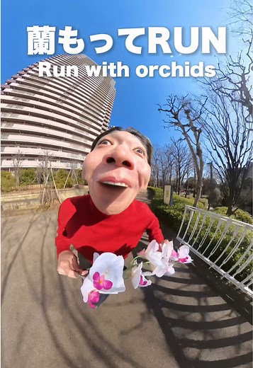 蘭持ってRUN！じゅっ誕祭のお知らせ