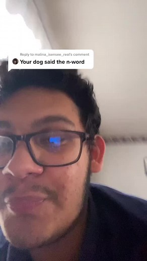 Reply to @malina_isensee_real #fyp #chihuahua hes sorry