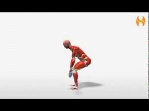 Exercise Videos- Bent-legged Deadlifts