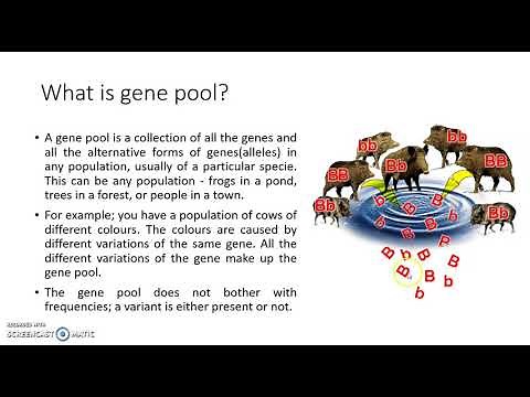 What is gene pool. Lesson 16: Genetic Resources and Conservation