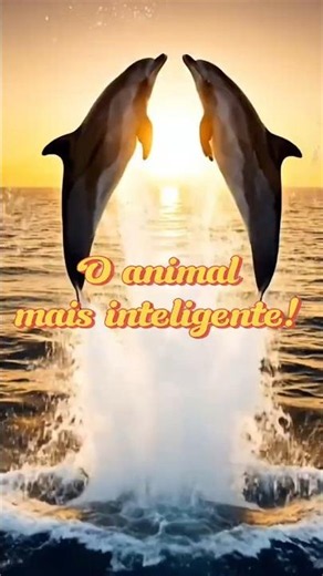 Qual animal mais inteligente do planeta? #biologia #curiosidades #naturezasurpreendente #mundoanimal