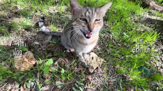 @ennvh2 on Instagram: "another day of classes📖 #uni #vlog #vloglife #foryou #fyp #explore #daily #algeria"