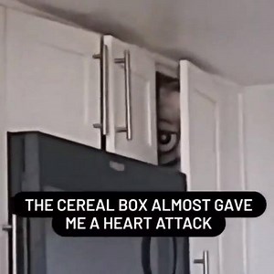690K views · 13K reactions | When your cereal box looks like a serial box  | Festival of The Dead | Facebook