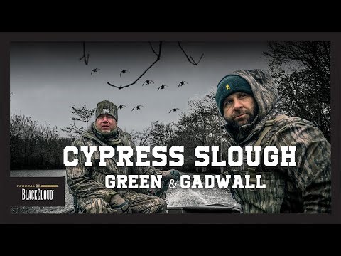 "Raining Gadwall" | 30 Ducks in Arkansas | Black Cloud