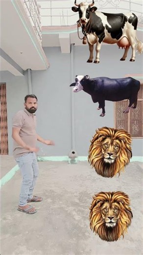 monkey to hathi & ghoda sher bagh funny vfx magic video #short#youtubeshorts#vfx#vfxshort