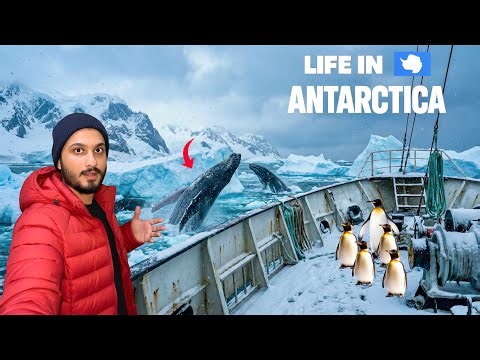Inside Mainland Antarctica 🇦🇶 | Life in Frozen World 🐋🥶