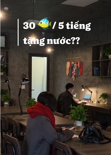 Góc học tập và làm việc yên tĩnh tại Hải Phòng