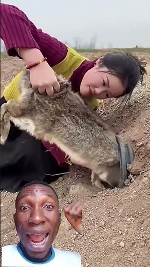 rabbit 🐇🐰