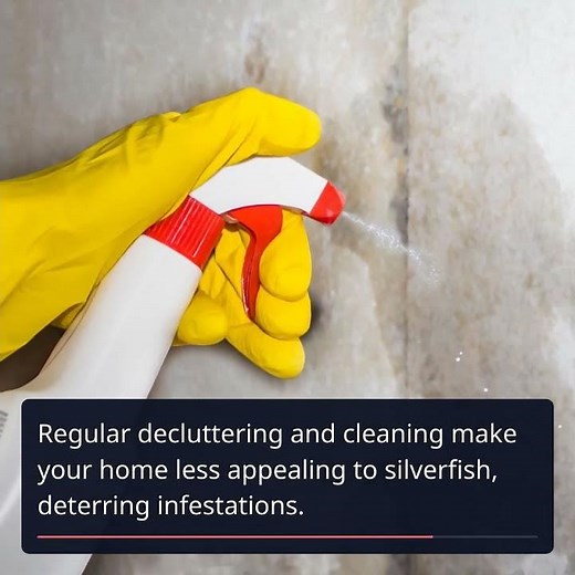 Banishing Silverfish: Your Ultimate Guide to a Pest-Free Home