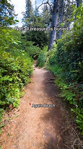 49K views · 1.1K reactions | Tucked along the North Coast, Trinidad, feels like stumbling upon hidden treasure. ✨ It has rugged cliffs, secret beaches, and redwoods that reach the sky.  Off the beaten path, you'll get ocean views without the crowds, and sunsets that feel like they’re just for you.  Greater Trinidad Chamber of Commerce | Visit California | Facebook