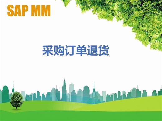 SAP ERP系统采购订单退货