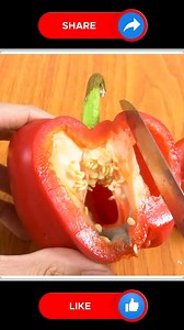 82K views · 646 reactions | Amazing tips for grow bell peppers 𣏕 | Small Vegetable Garden | Facebook