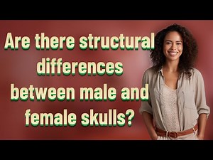 Are there structural differences between male and female skulls?