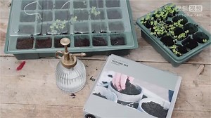 简单几种材料，就能动手做出一个微型温室花房