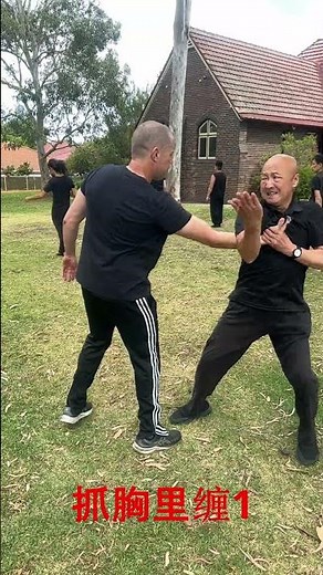 "Flow to Defend"擒拿---抓胸里缠1#chin_na #kungfutraining #kungfutechnique #kungfupractice #chinese_kung_fu