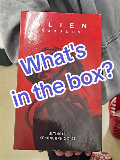 Mysterious Box at Target: The Wrong Character Inside?