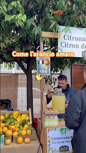 Come l’arancio amaro #Italy #ItalianVibes #POV #Shorts #travel #trending