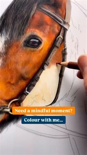 This Mental Health Awareness Week, I'm sharing one small practice that helps me find moments of calm. Drawing isn't a cure-all, but it does offer a gentle reprieve when my mind feels busy. When I pick up my pencils, I reconnect with the present moment. No expectations, no pressure, just some quiet time to breathe and create. Self-care looks different for everyone. What small moments help you find peace in your day? ✨ | Bonny Snowdon Academy