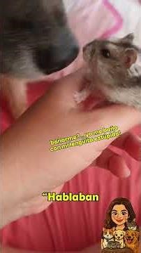 Mi ex con mi hermano... historia anónima de una seguidora #hámster #Mascotas #humor #comedia