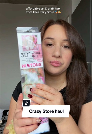Affordable Winter Art & Craft Haul from The Crazy Store