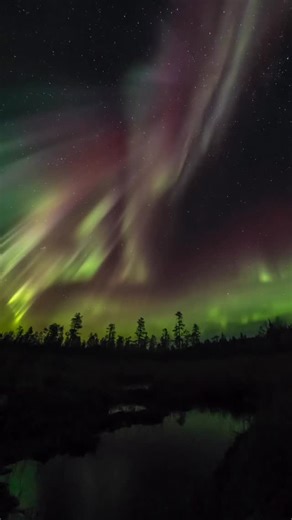 What?! Such a breathtaking show last night on our tour! Aurora exploded like crazy! And check those amazing aurora reflections! That's why I love autumn so much! :) | Aurora Hunting