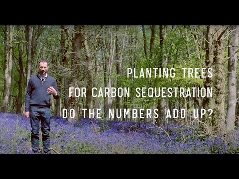 Planting trees for Carbon Sequestration - do the numbers add up?