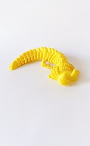 Nice Axolotl Flexi
