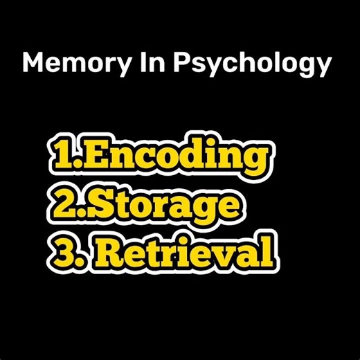 key stazes of memory in Psychology #psychologystudy #Memorykey