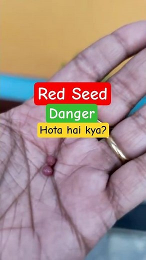 Don’t Plant Before Watching This! | Treated Seeds Safe Hai Ya Nahi?